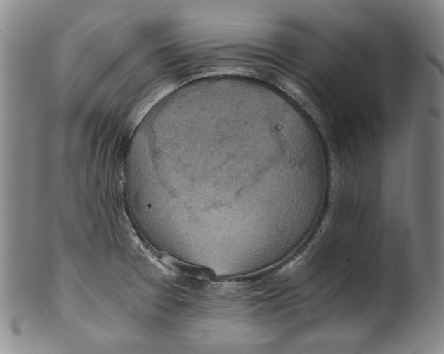 X0000100401377200806271410