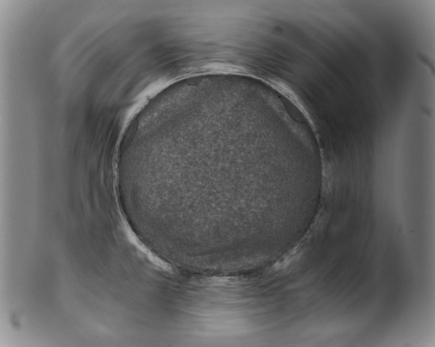 X0000100401381200806271410