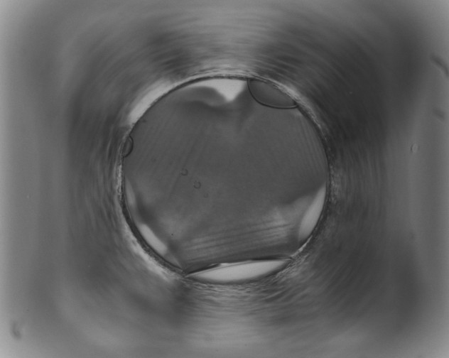 X0000100401383200806271410