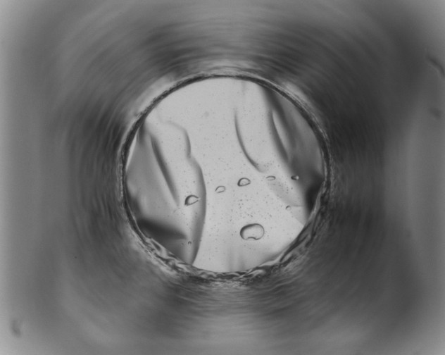 X0000100401384200806271410
