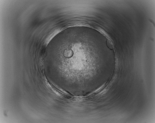 X0000100401385200806271410