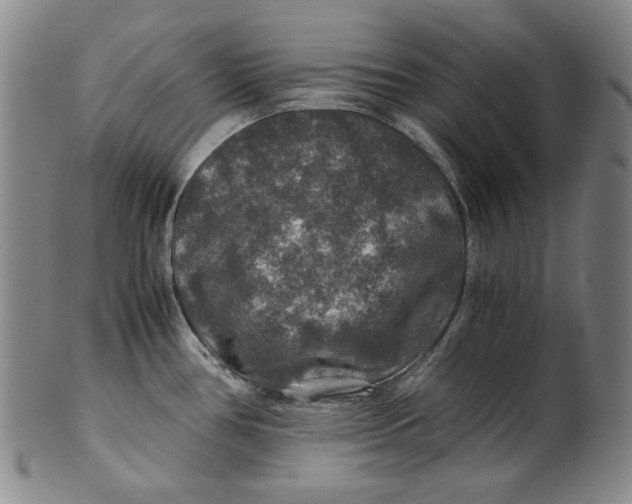 X0000100401386200806271410