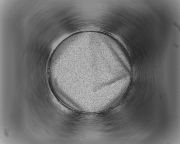 X0000100401387200806271410