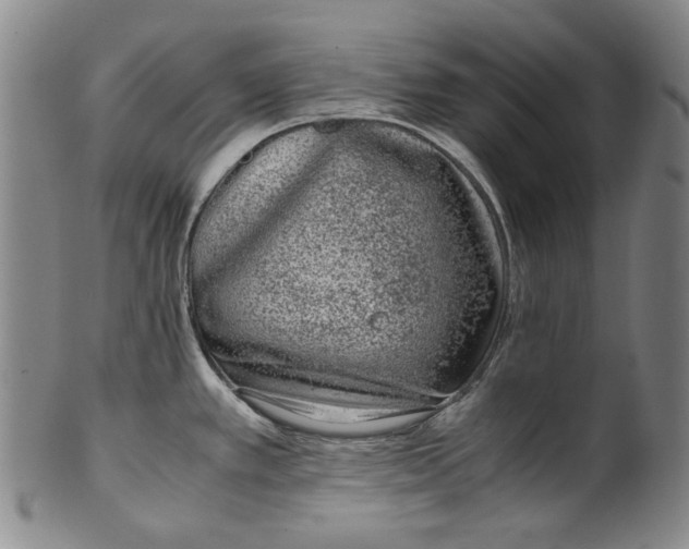 X0000100401389200806271410