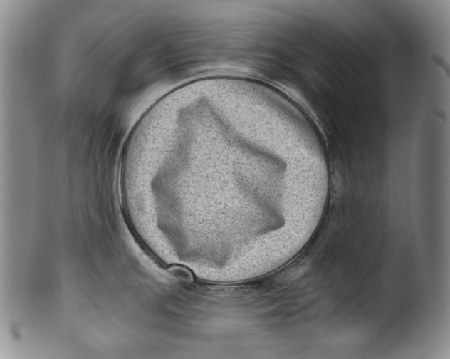 X0000100401391200806271410