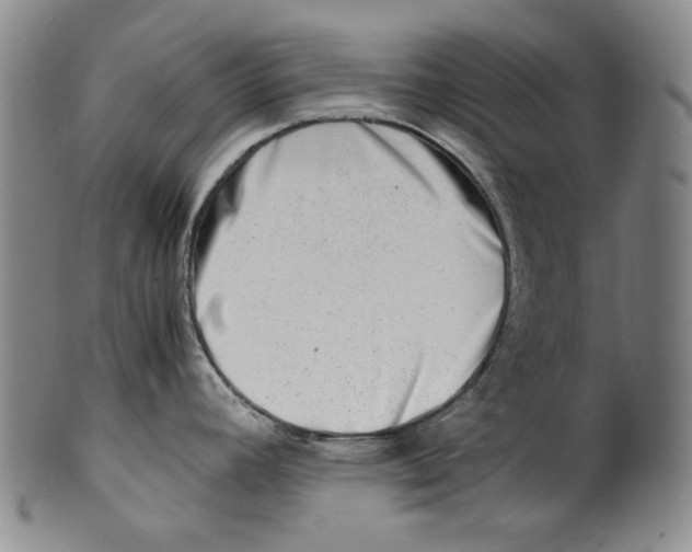 X0000100401392200806271410