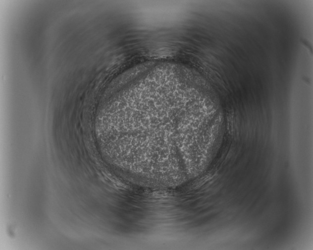 X0000100401393200806271409