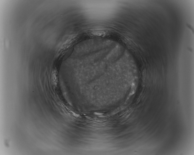 X0000100401394200806271409