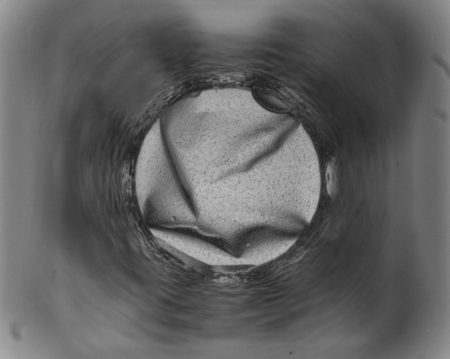 X0000100401395200806271409