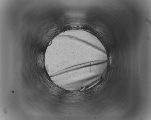 X0000100401396200806271409