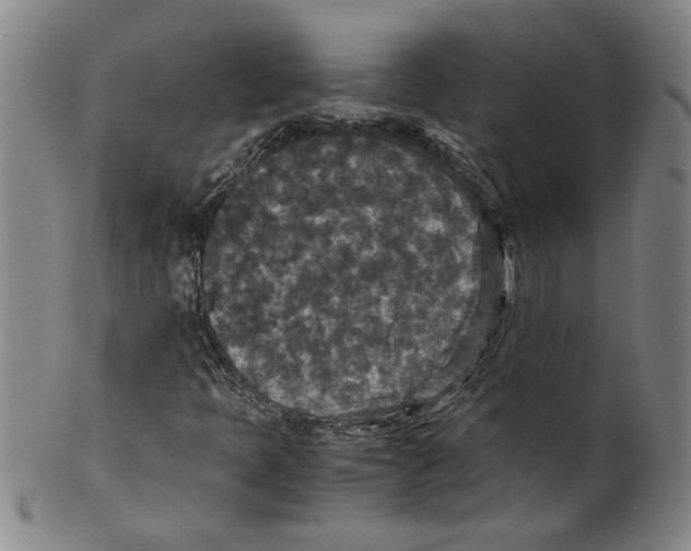 X0000100401397200806271409