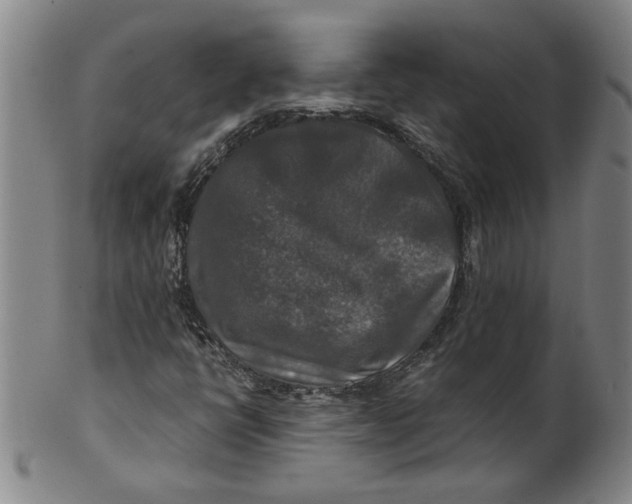 X0000100401398200806271410