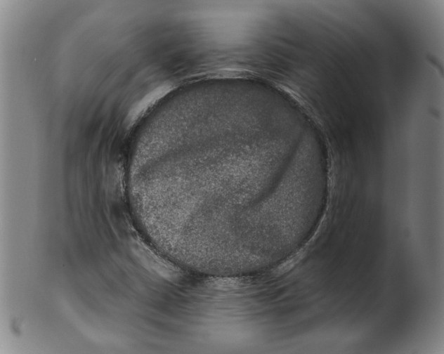 X0000100401402200806271410