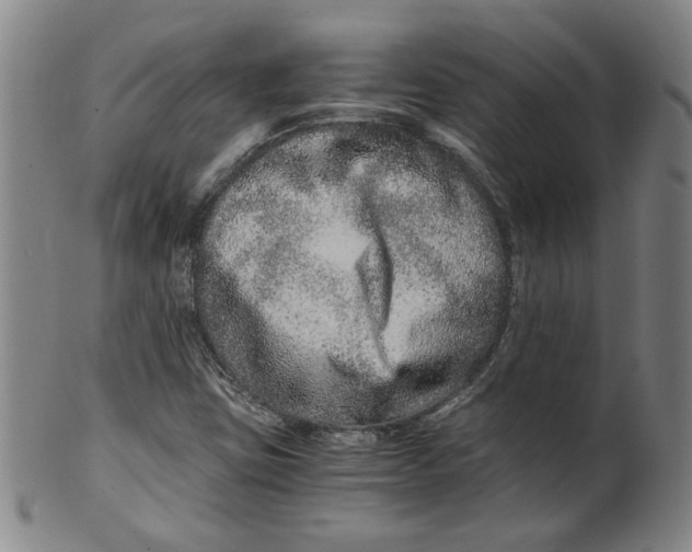 X0000100401403200806271410