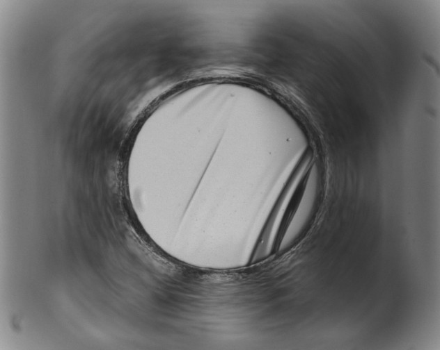 X0000100401404200806271410