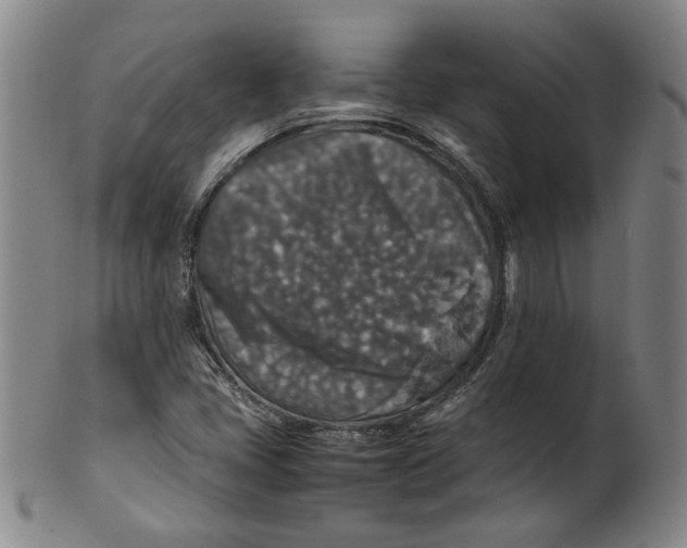 X0000100401405200806271410