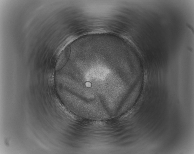 X0000100401409200806271410
