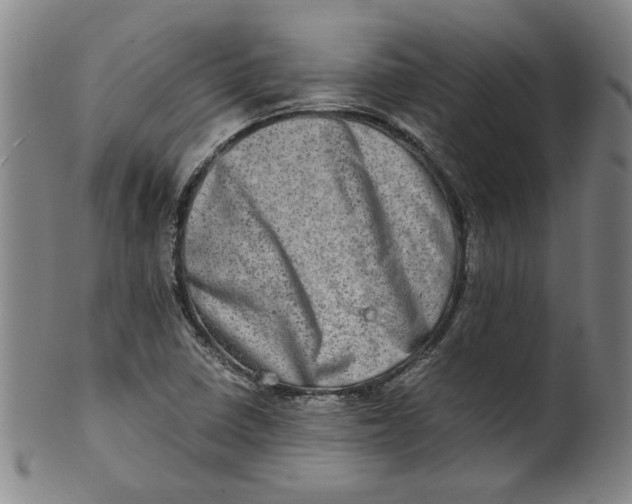 X0000100401410200806271410