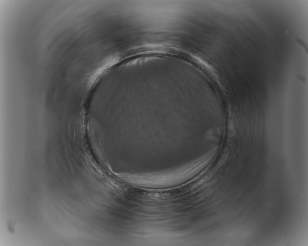 X0000100401411200806271410