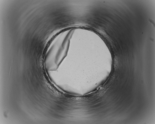 X0000100401412200806271410
