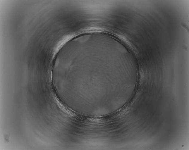 X0000100401413200806271410