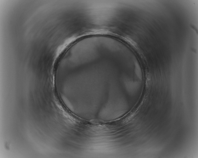 X0000100401414200806271410
