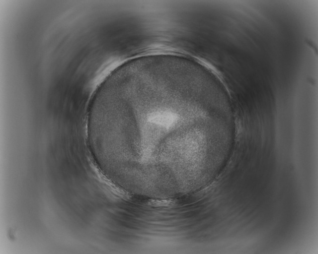 X0000100401415200806271410