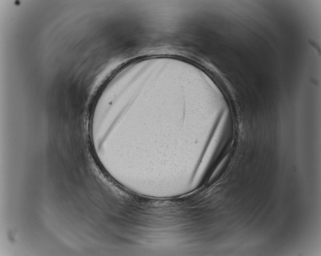 X0000100401416200806271410