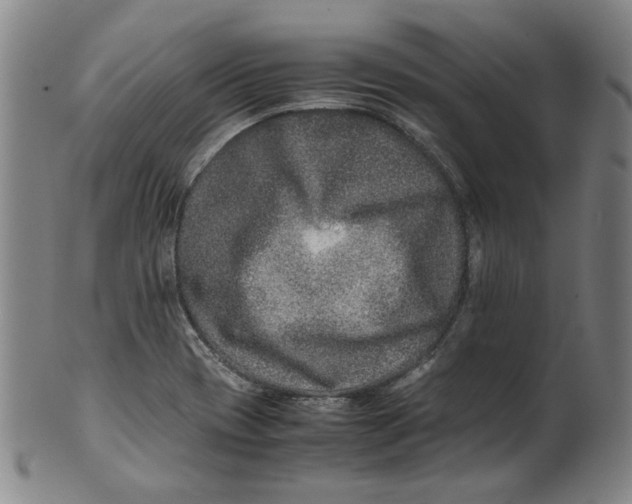 X0000100401417200806271410