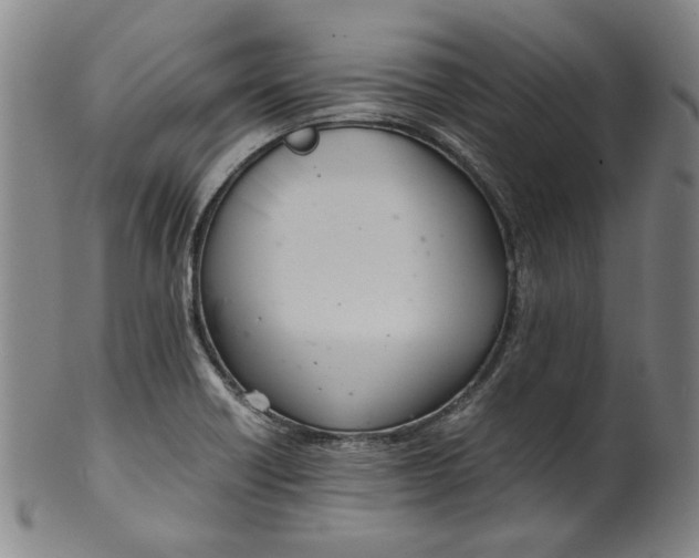 X0000100401418200806271410