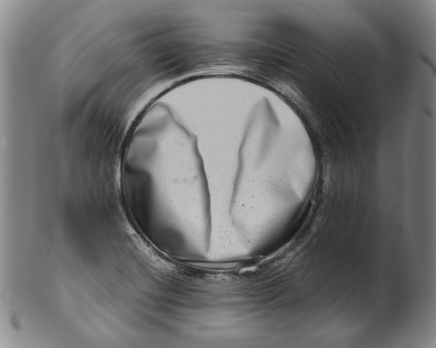 X0000100401420200806271410