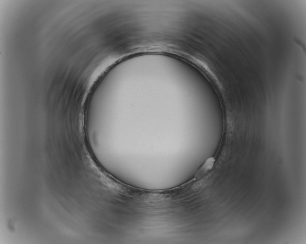 X0000100401424200806271410