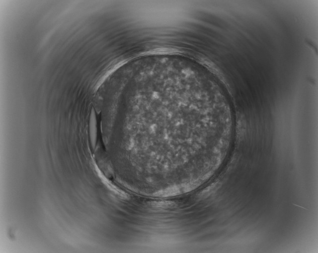 X0000100401425200806271410