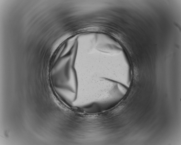 X0000100401426200806271410