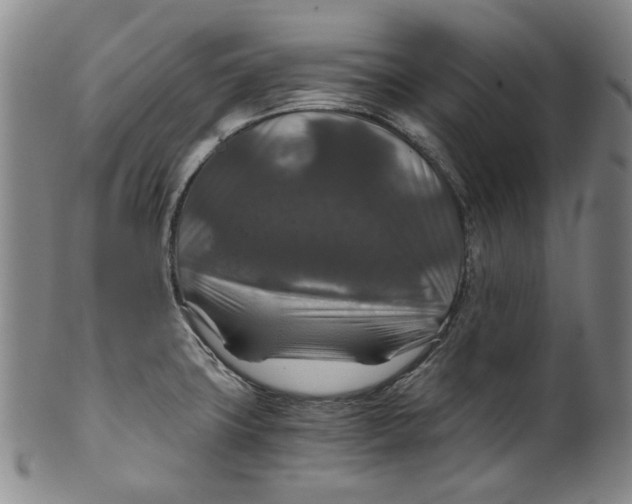 X0000100401427200806271410