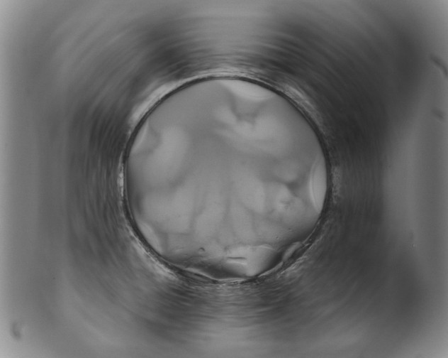 X0000100401428200806271410