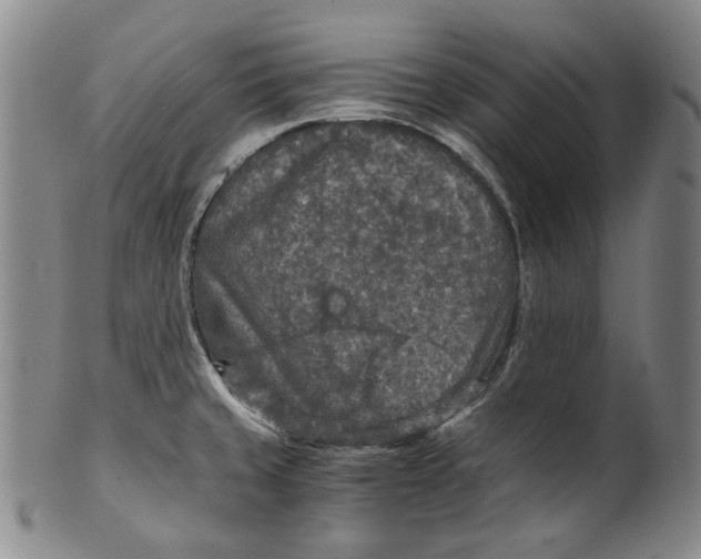 X0000100401429200806271410