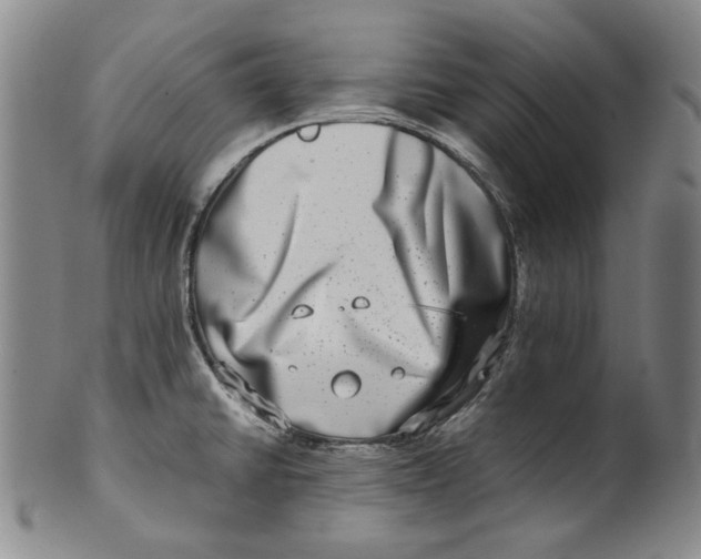 X0000100401430200806271410