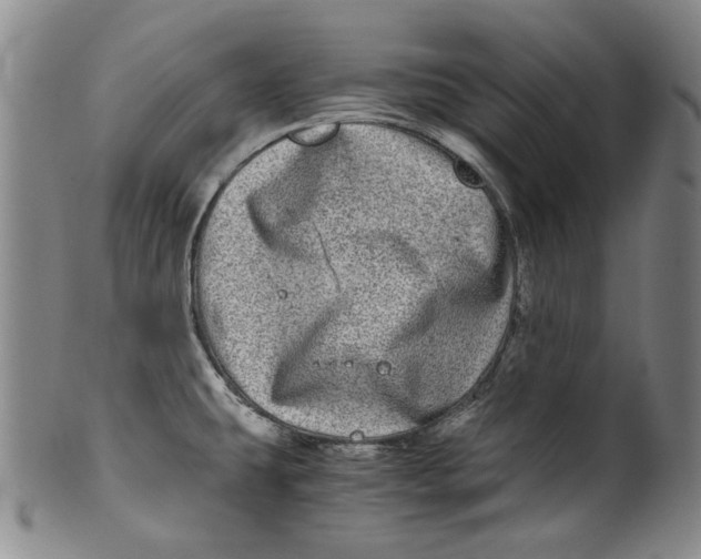 X0000100401431200806271410