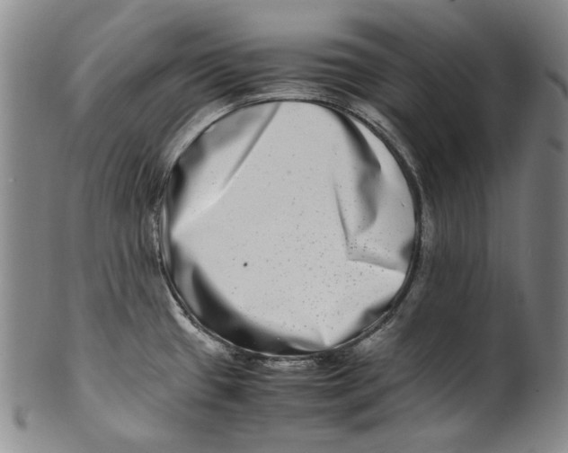 X0000100401433200806271410
