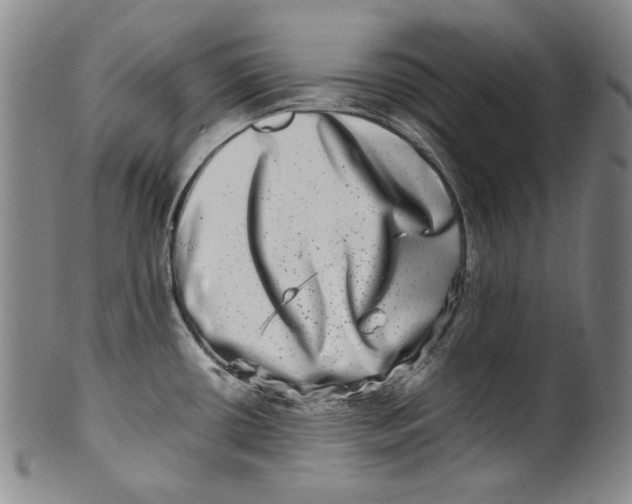 X0000100401434200806271410