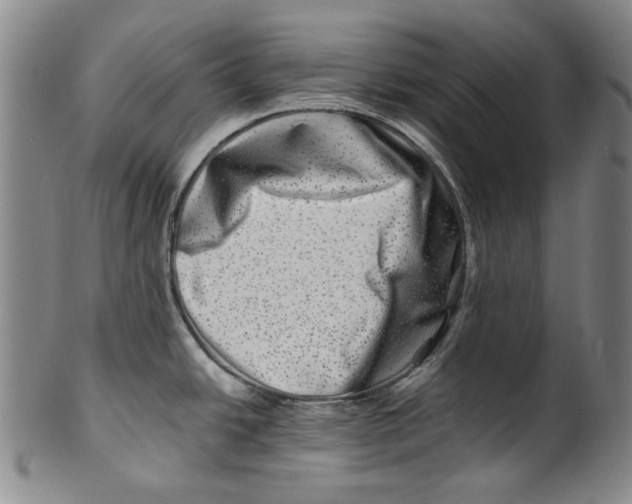 X0000100401438200806271410