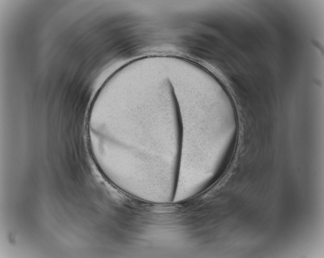 X0000100401440200806271410