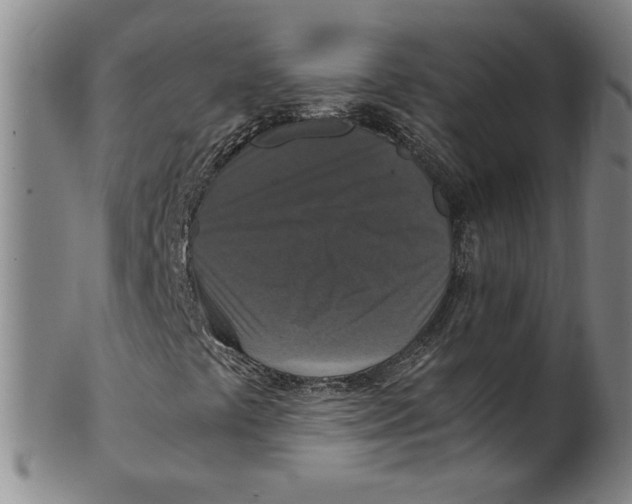 X0000100401441200806271409