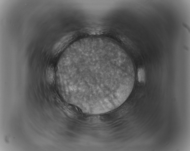 X0000100401444200806271409