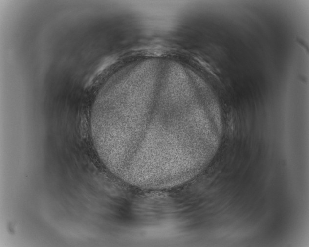 X0000100401446200806271409