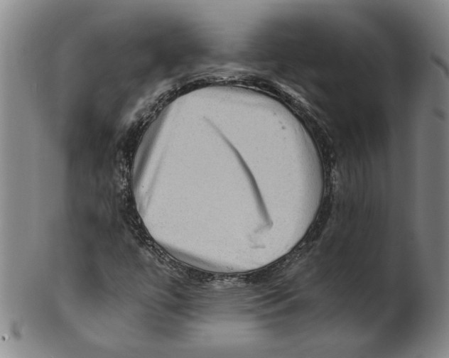 X0000100401447200806271409