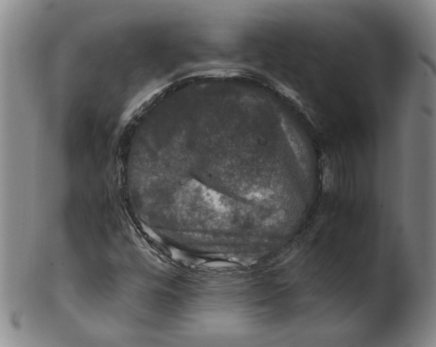 X0000100401448200806271409
