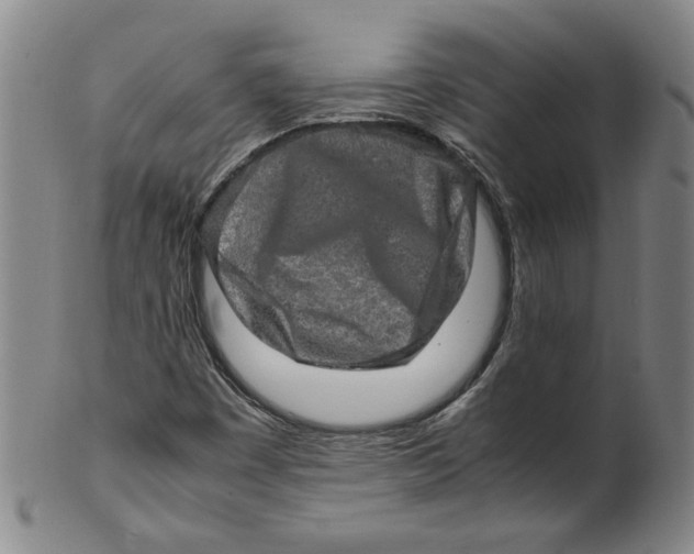 X0000100401449200806271409