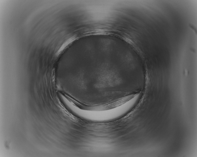 X0000100401450200806271409